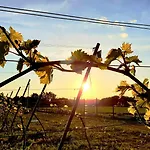 Gospodarstwo wiejskie Winnica Novi - Cianowice Duze