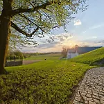 Winnica Novi - *