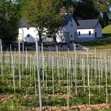 Country house Winnica Novi -