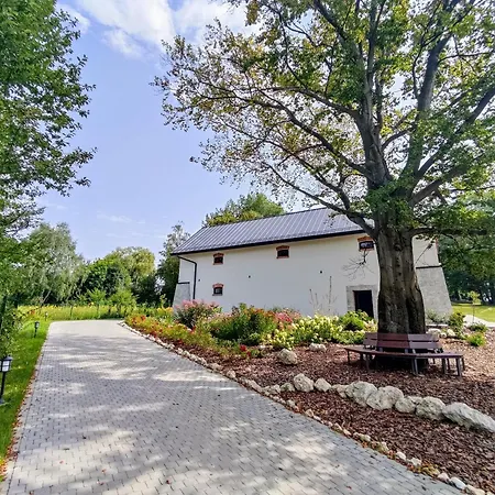 Winnica Novi -