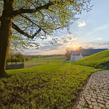 Winnica Novi - *